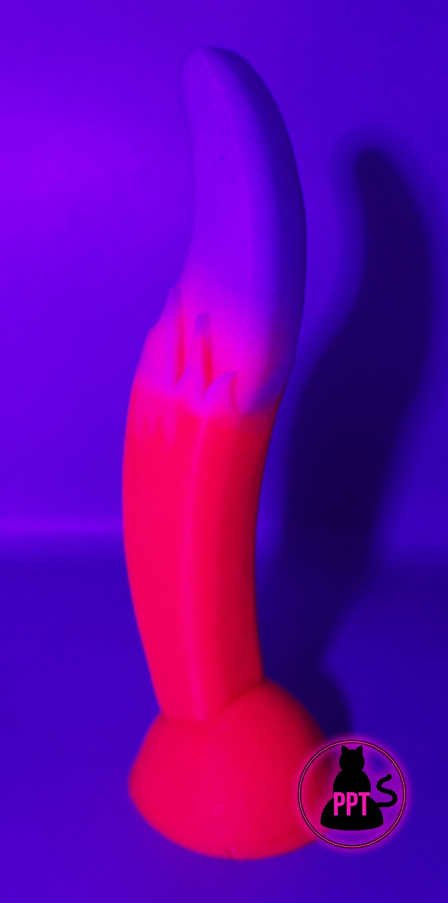 The Foxxx Tail by Mandy Foxxx