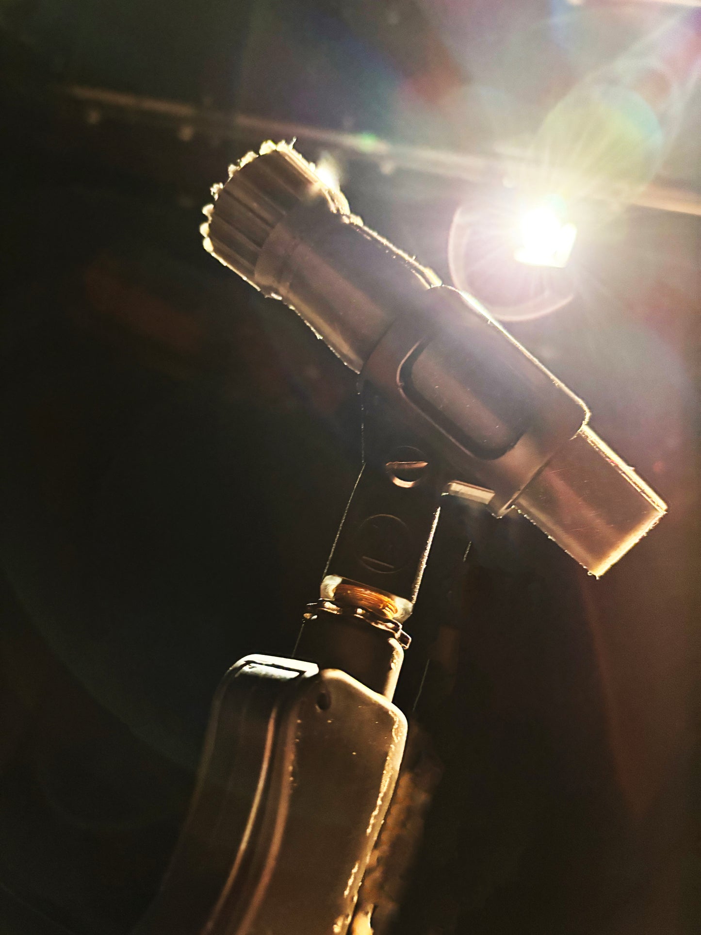 BDSM-57 Microphone Dildo