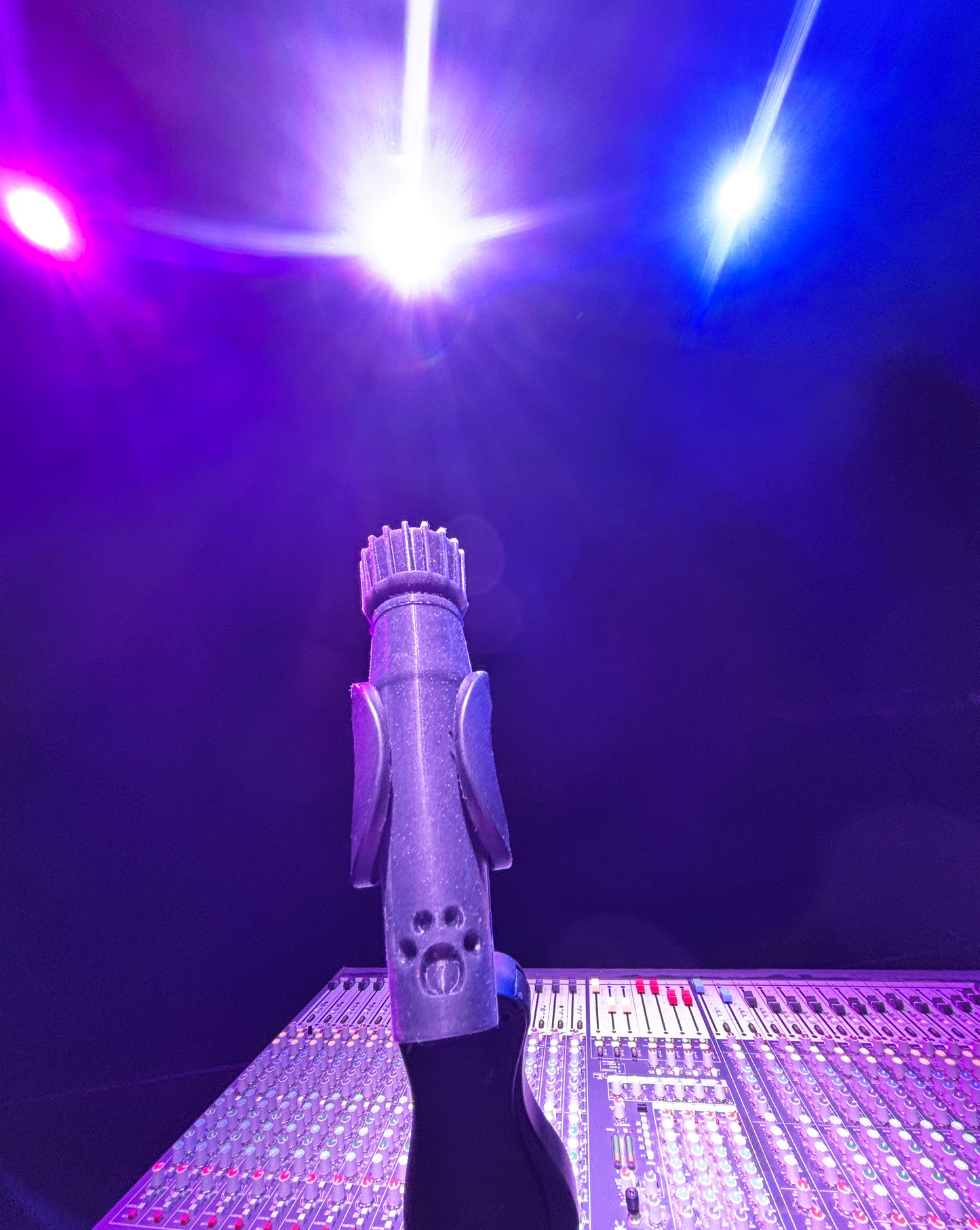 BDSM-57 Microphone Dildo