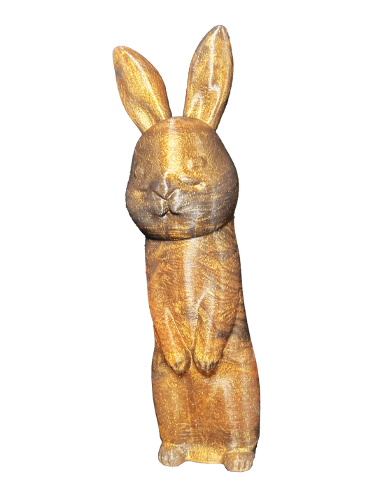 Funny Bunny