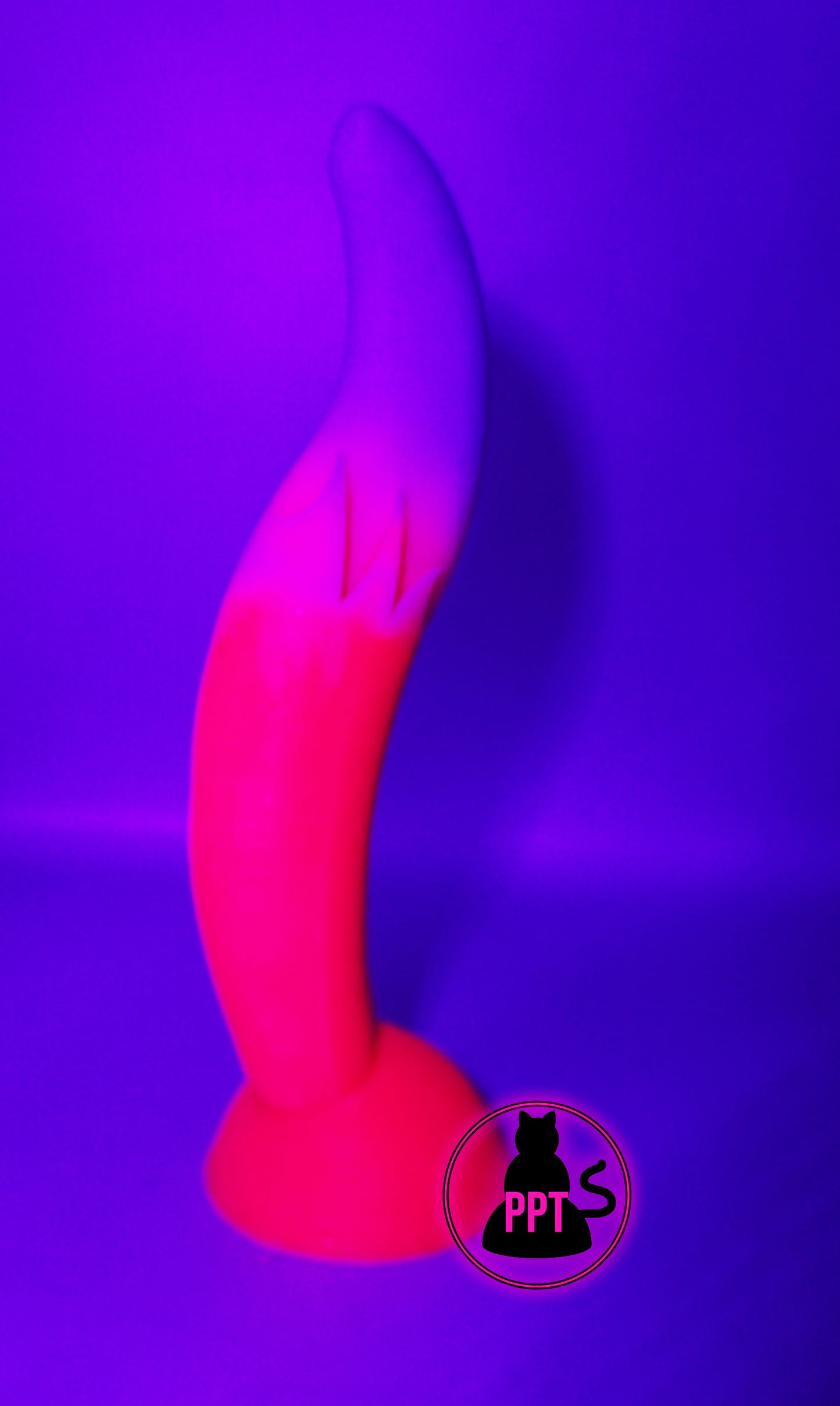 The Foxxx Tail by Mandy Foxxx