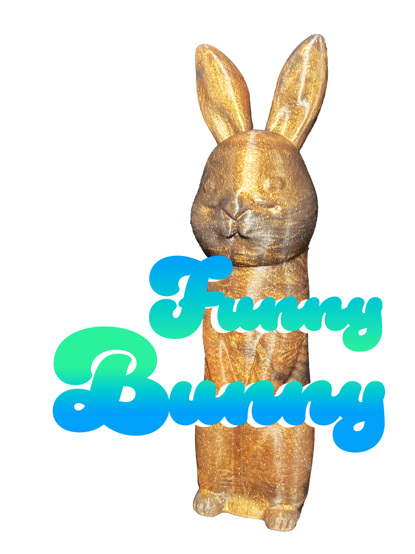 Funny Bunny