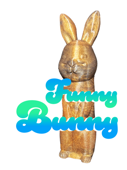Funny Bunny