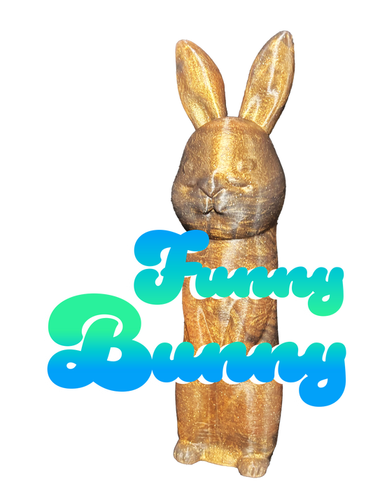 Funny Bunny