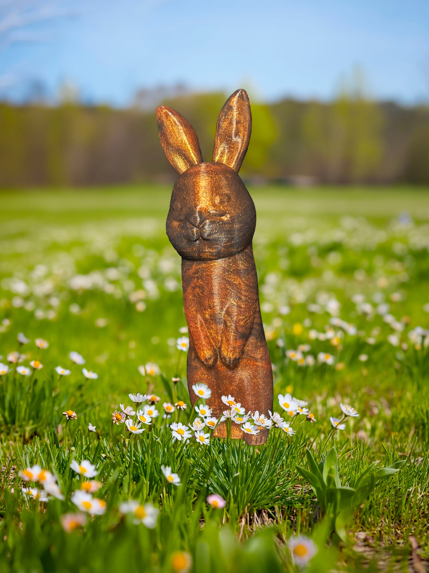 Funny Bunny