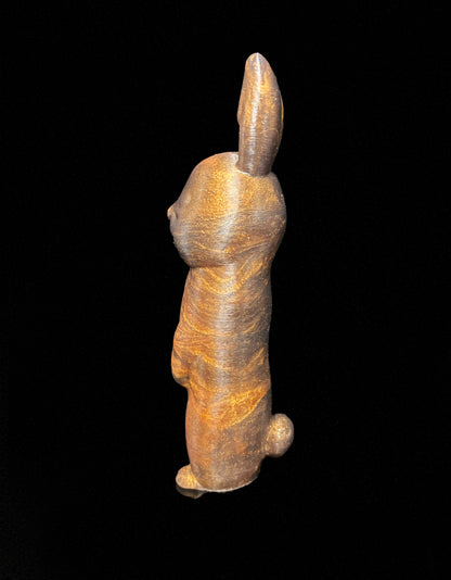 Funny Bunny
